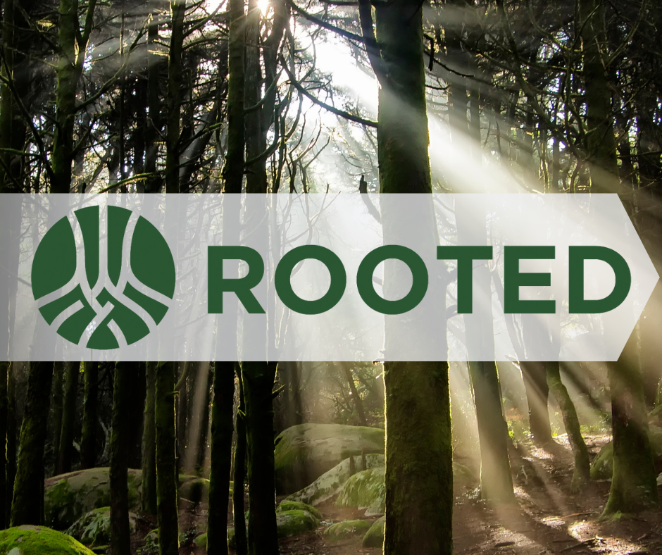 Featured image for Rooted