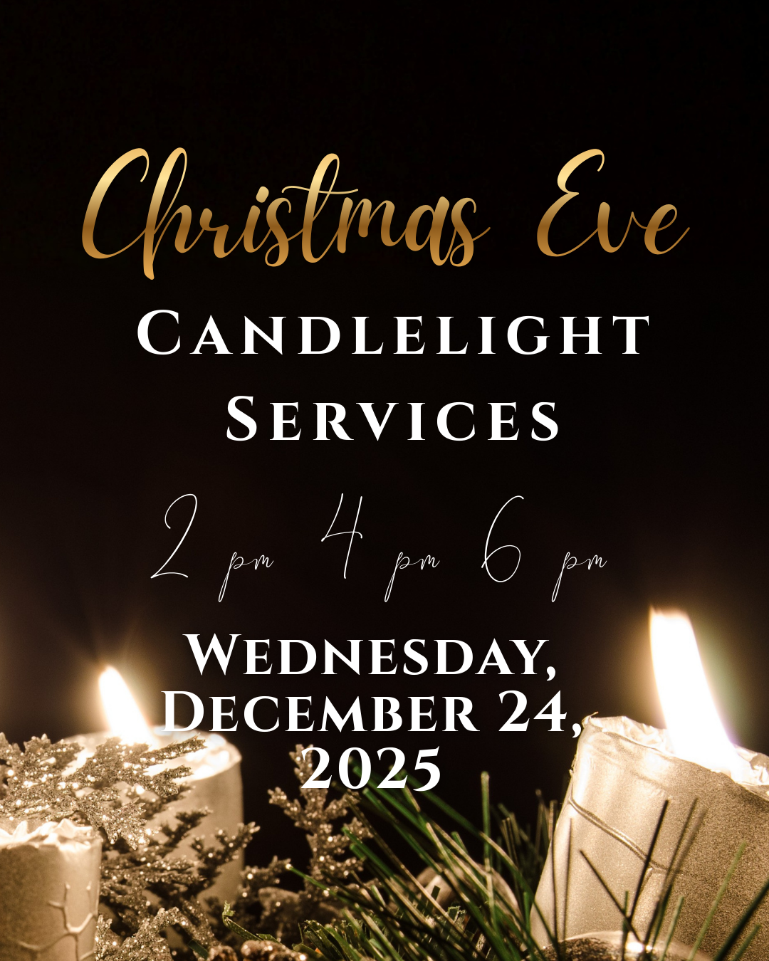 Featured image for Rooted